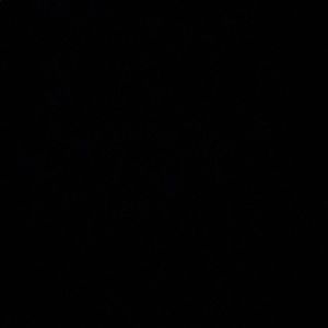 Meet your Posher, Aaliyah